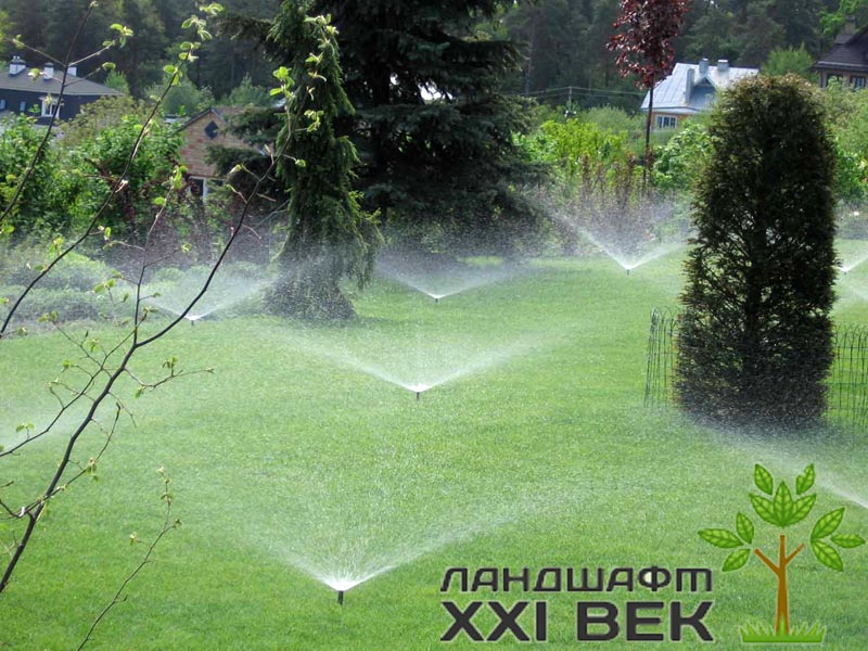 автоматический полив