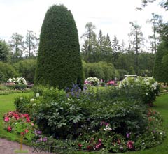 ландшафт участка