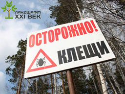 обработка от клещей