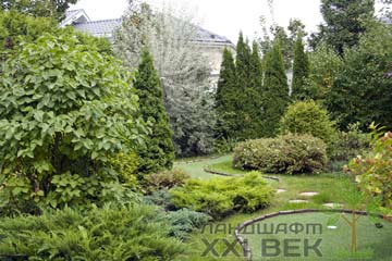 посадка растений